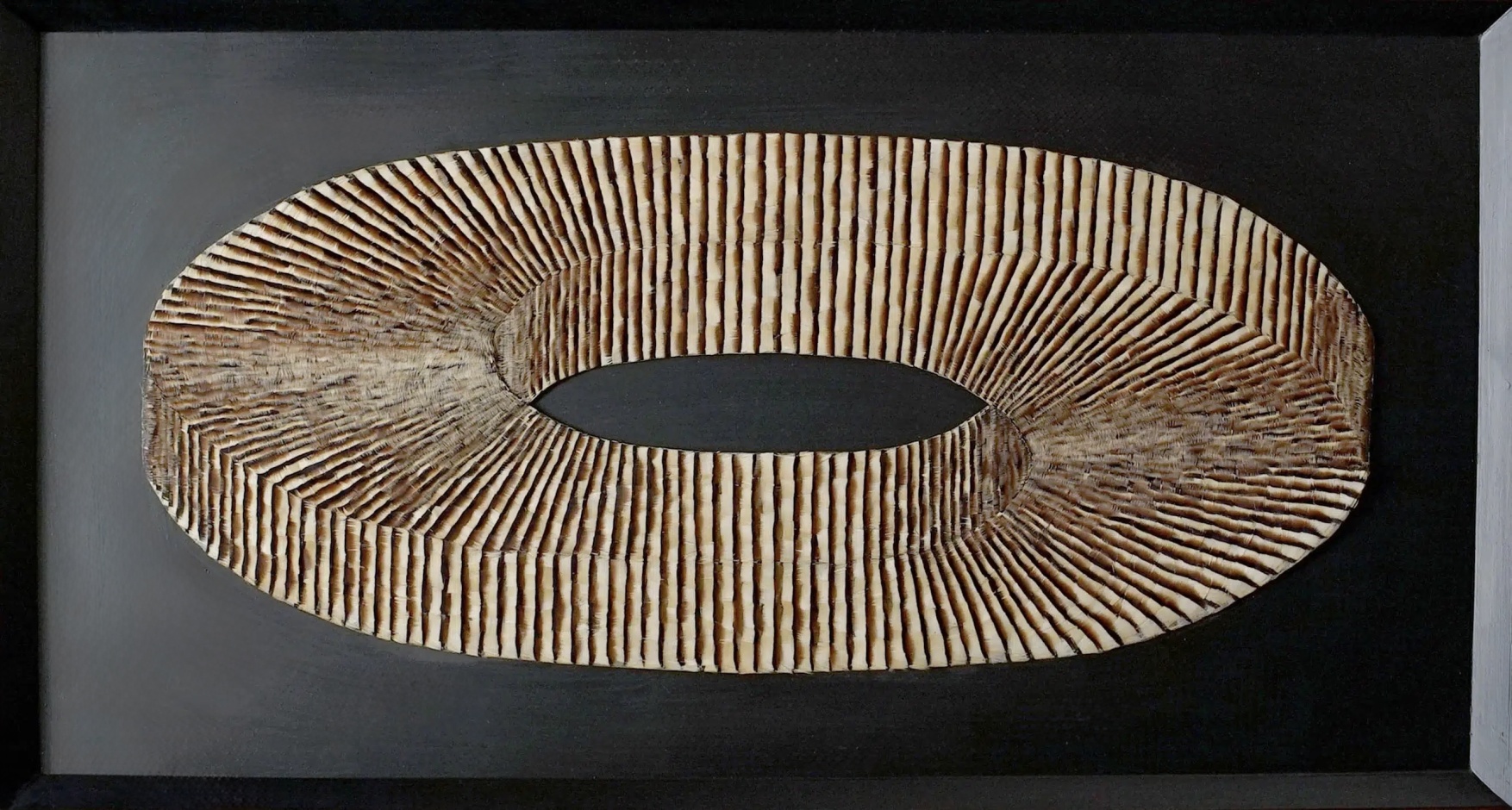 CONFUBIUS principal 2