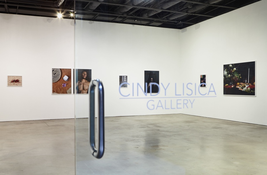 Cindy Lisica Gallery 2