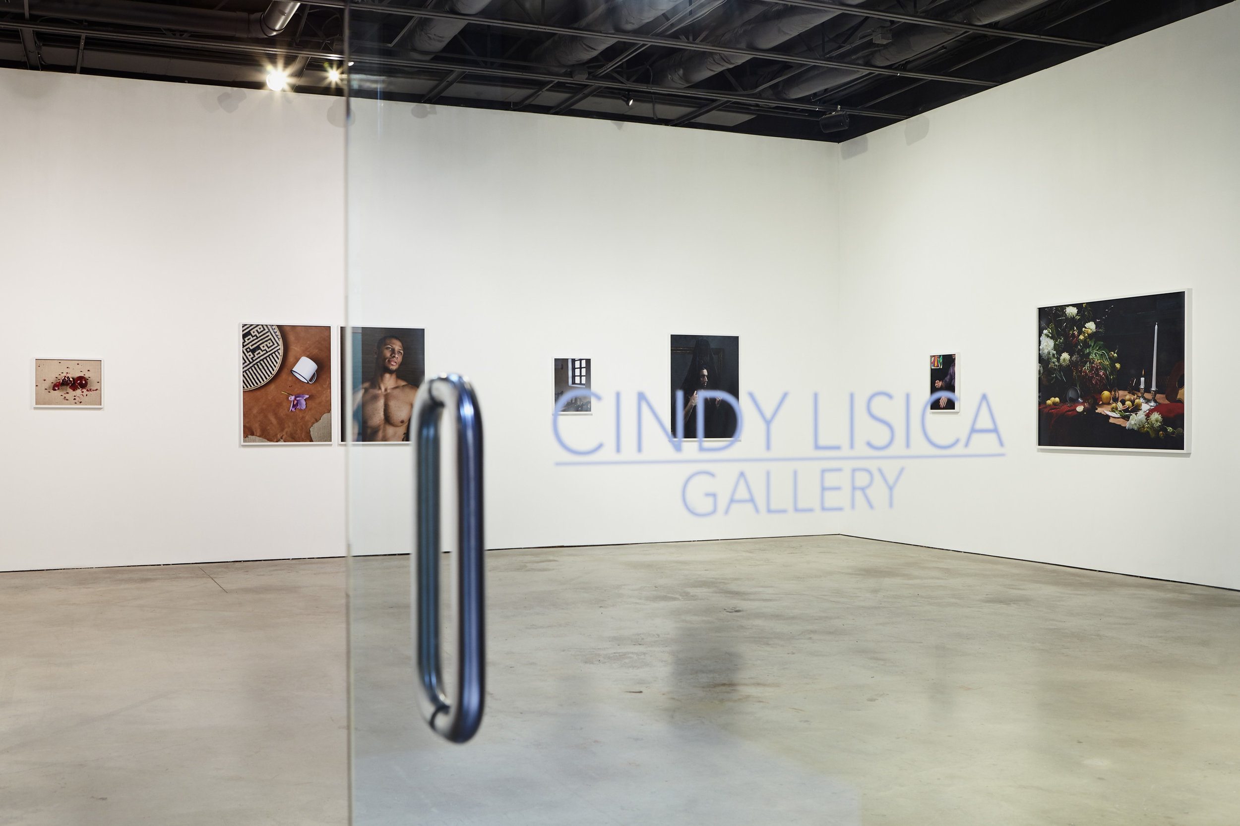 Cindy Lisica Gallery 2