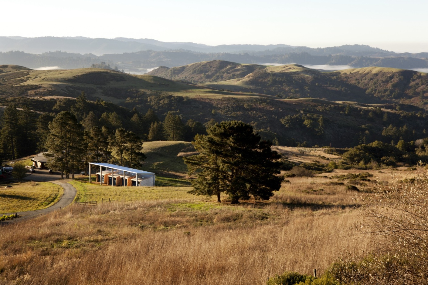 Djerassi